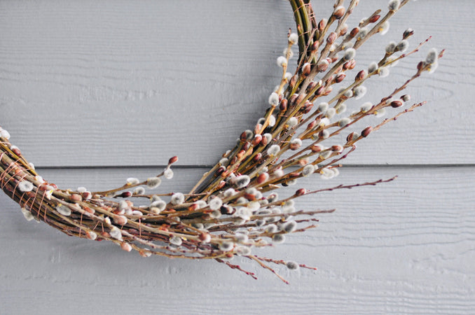Pussy Willow Wreath with Clary Sage Studio