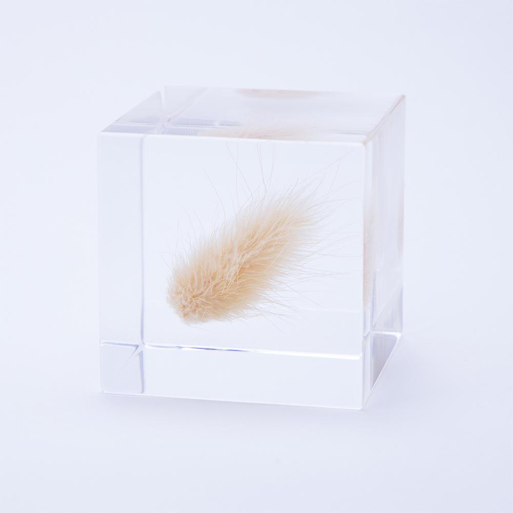 Bunny Tail Grass Cube